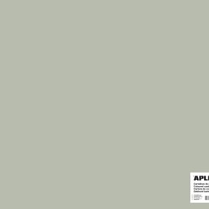 Apli Cartulina Gris 50 x 65cm 170g 25 Hojas